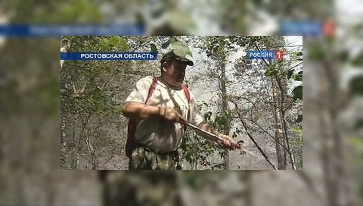Лесные пожары дошли до станицы Вёшенской