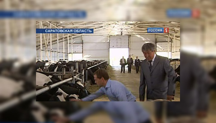 Президент лично убедился, как взвинчивают цены на продукты