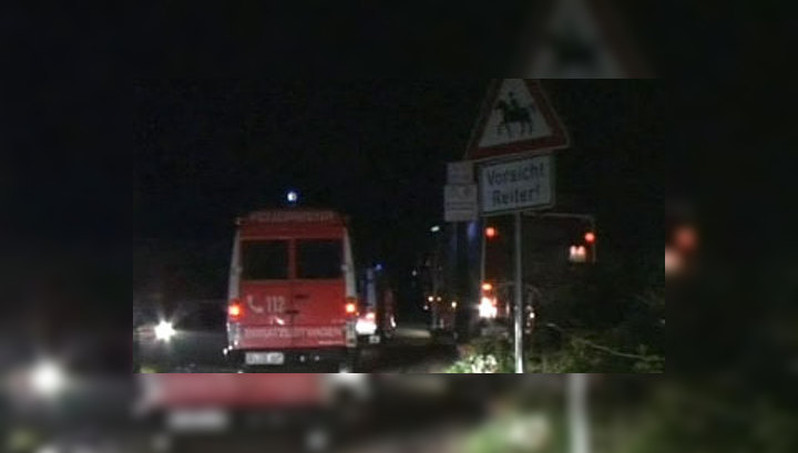 Трагедия в Германии: лошади покалечили десятки детей