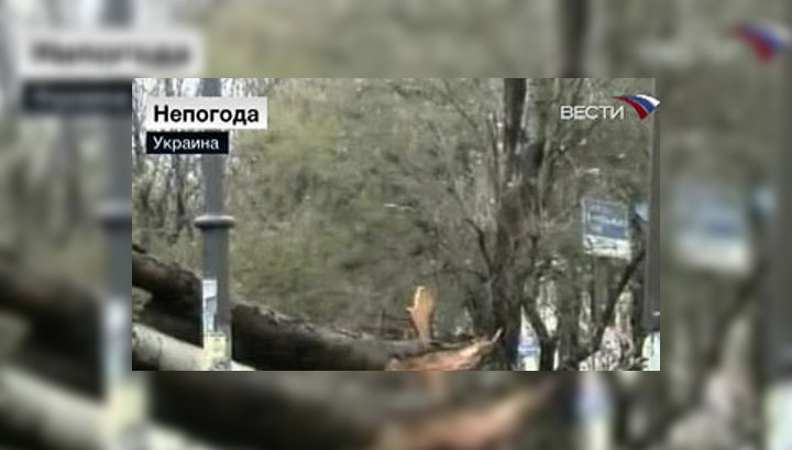 На Украине непогода обесточила более 460 населенных пунктов