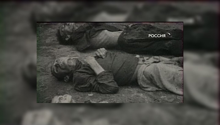 Эксперты: у комиссии по противодействию фальсификации истории будет много работы