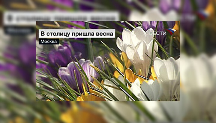 В Москве потеплеет до 21 градуса