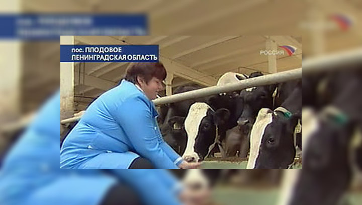 Племенное животноводство получило налоговые льготы