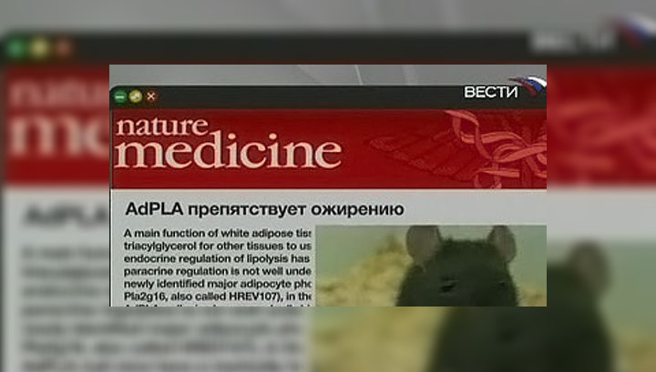 Ученые нашли "ген ожирения"