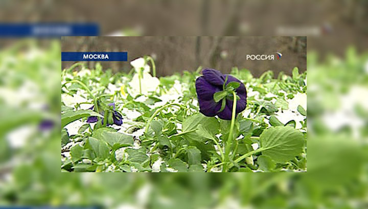 "Доброе утро, Россия!" даст прогноз погоды на 2019 год