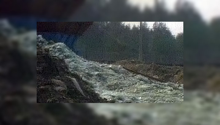 В Москве коммерсанты загрязнили охраняемую природную территорию