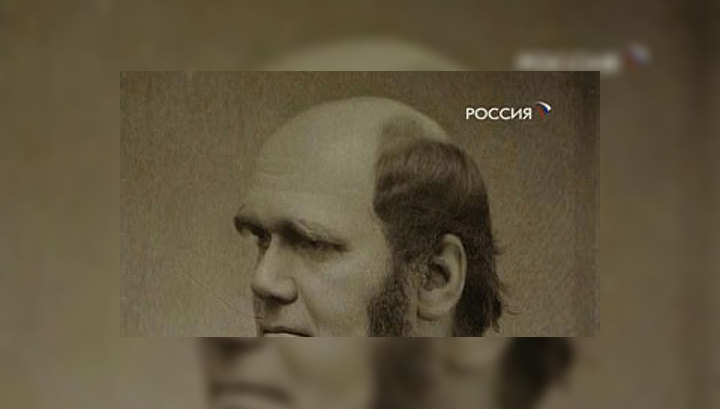Одно из первых изданий научного труда Чарльза Дарвина ушло с молотка