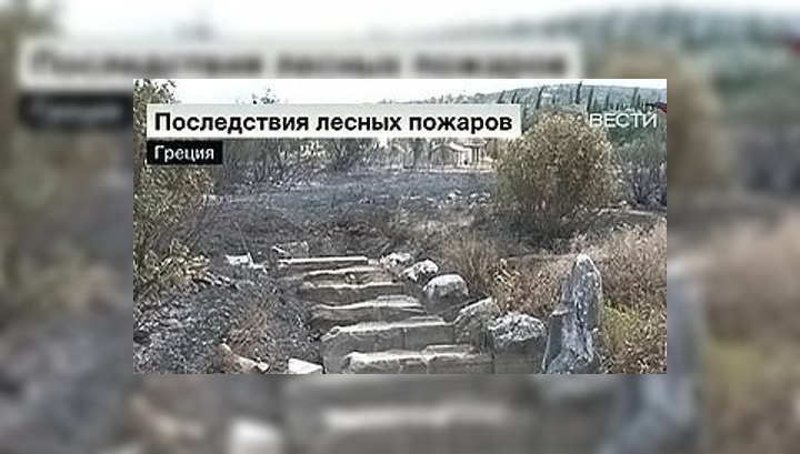 В Греции ликвидируют последствия лесных пожаров
