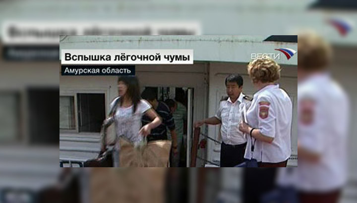 Амурчане встречают новую заразу во всеоружии