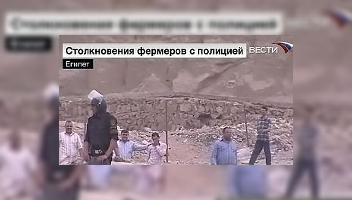 Миру угрожает эпидемия "свиной истерии"