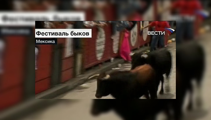В Мексике быки покалечили 13 туристов