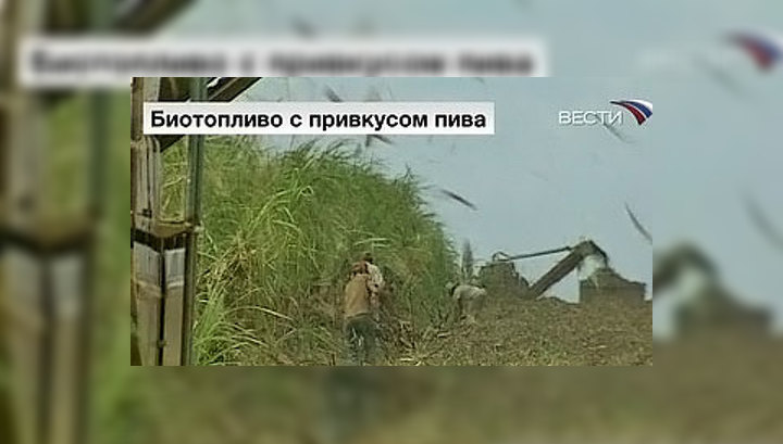 Японцы будут производить топливо из пива