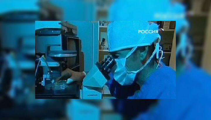 Клонирование человека: за фальсификацию результатов ученый может сесть в тюрьму