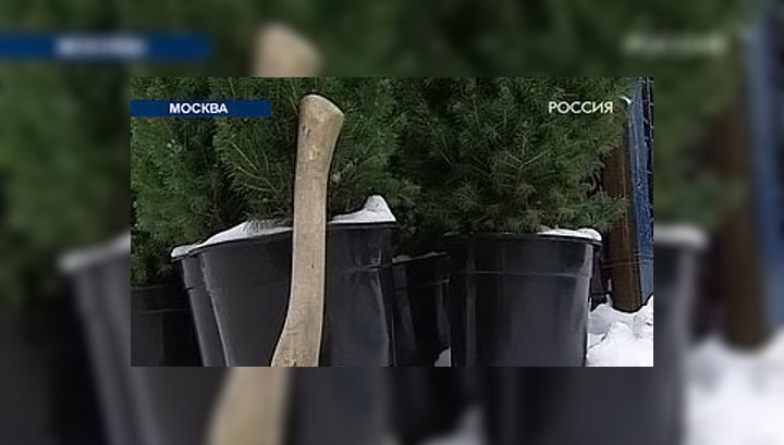 В столице запахло ёлками и криминалом