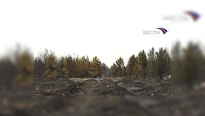 Два самых крупных очага пожара под Воронежем ликвидированы