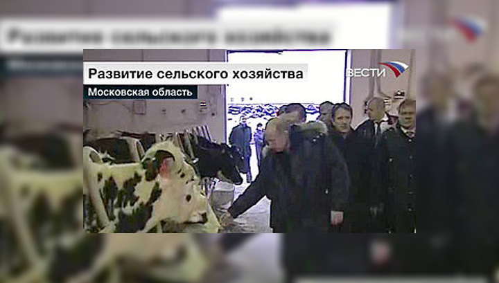 Путин побывал на молочной ферме в Одинцове