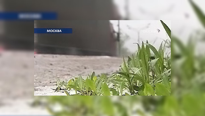 На Москву вместе с дождем падали куски льда
