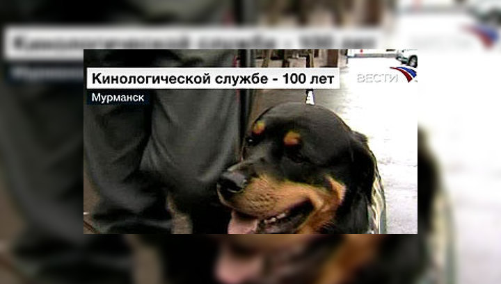 100 лет российским кинологам