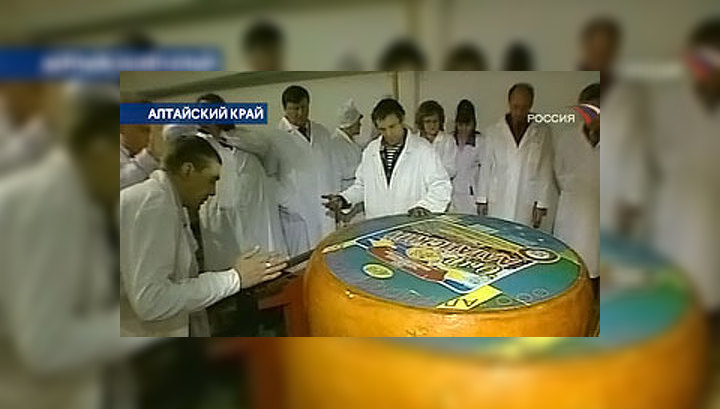 В Алтайском крае сварили сыр-гигант