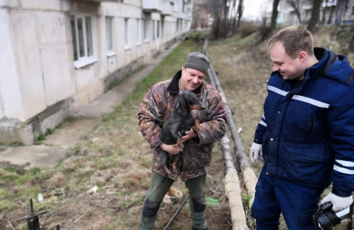 Во Ржеве спасли застрявшую под плитой собаку
