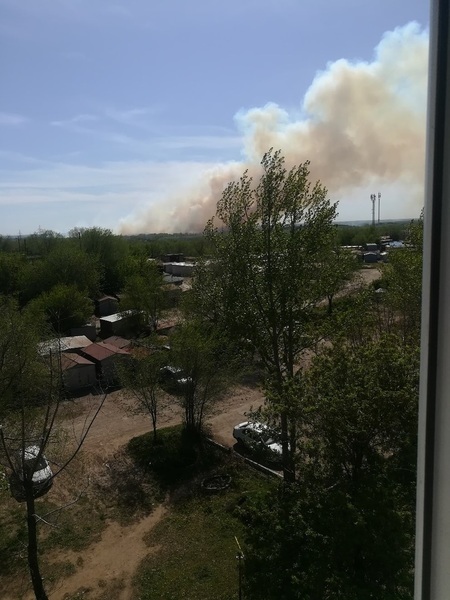 В Оренбуржье ликвидацию крупного пожара в лесополосе осложняют жара и ветер