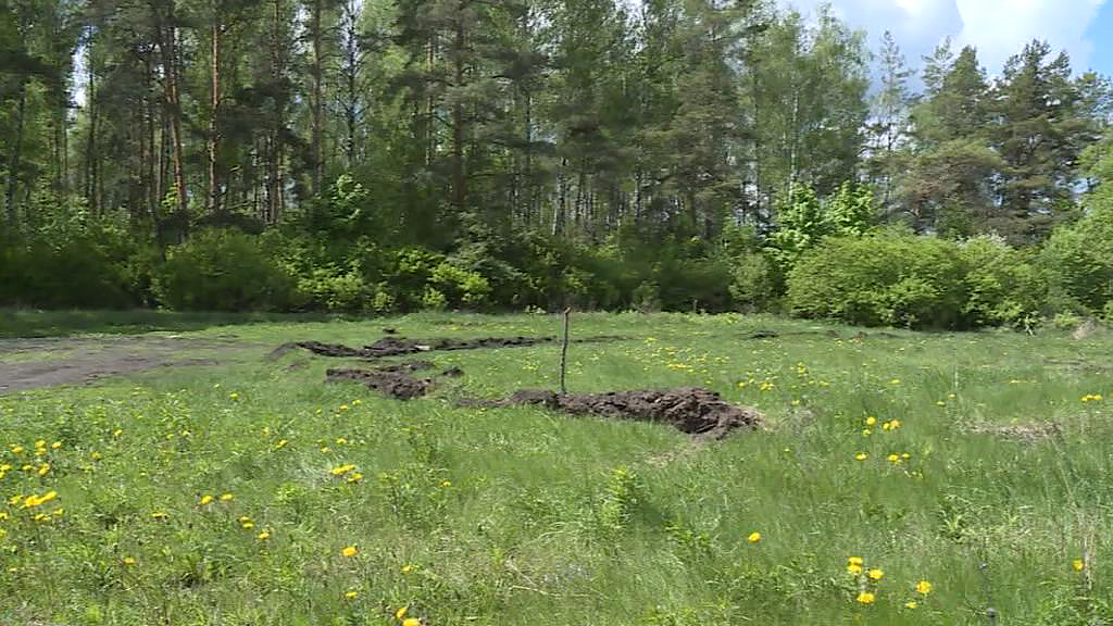 В Орле неизвестные вандалы уничтожили недавно высаженный "Сад Победы"