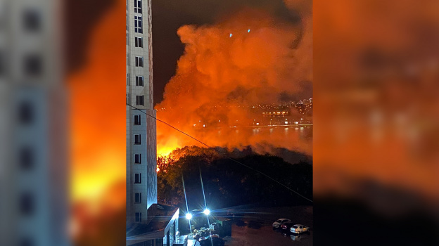 Крупный пожар на берегу воронежского водохранилища сняли на видео