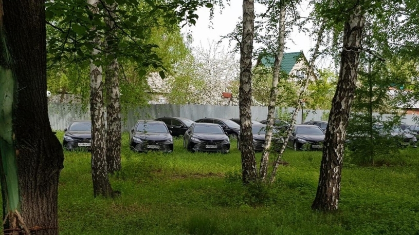 Найденные в челябинском лесу иномарки отдадут медикам