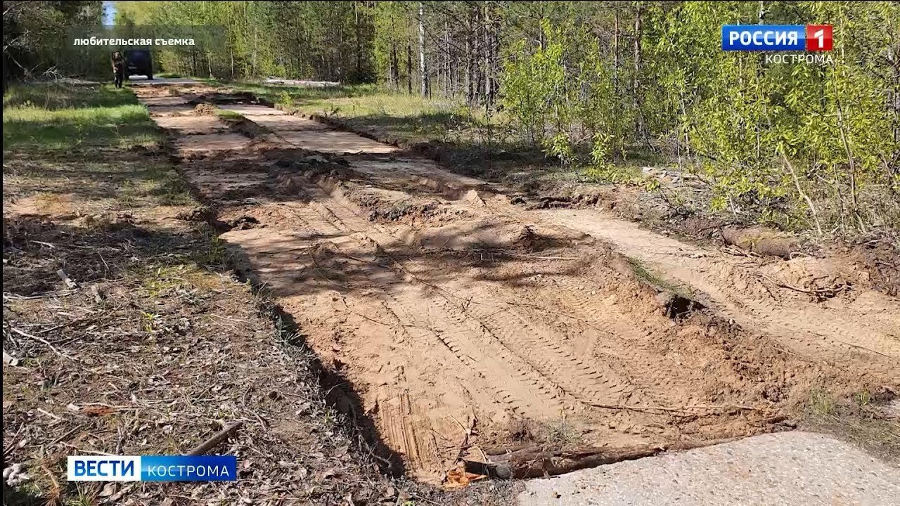 В Костромской области неизвестные разобрали и вывезли дорогу