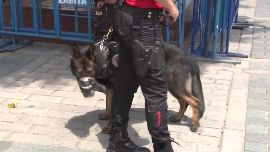 Турецкая полиция при помощи дронов и собак задержала в Анкаре 525 наркоторговцев
