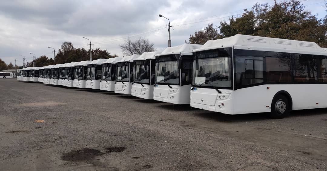 Между Минском и Ялтой запустят автобус