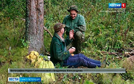В Ленобласти заблудившийся грибник провел в лесу около пяти суток