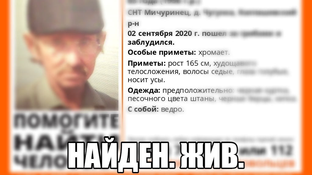 Грибник, пропавший в лесу в Томской области, найден живым