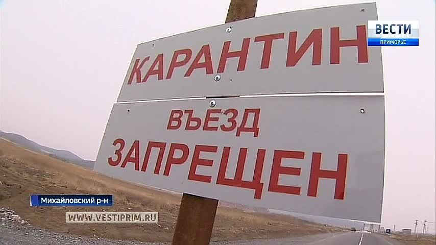 Опасный вирус охватил восемь муниципалитетов Приморья