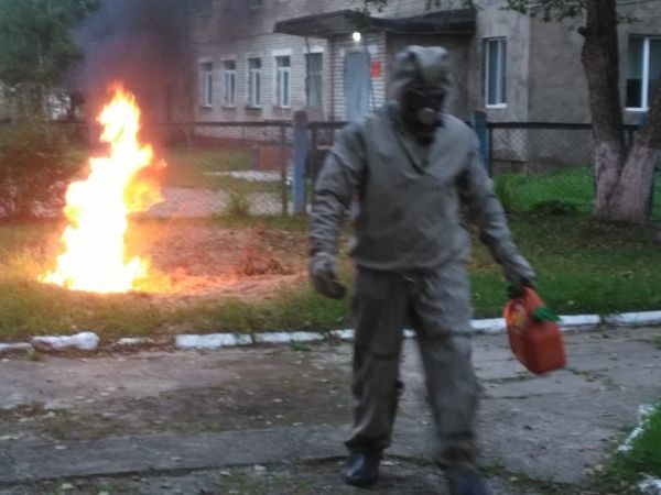 За время карантина детский сад в приморском поселке оккупировали шершни