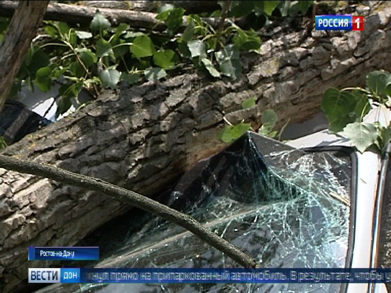 В Ростове ожидается шквалистый ветер до 24 м/с