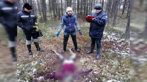 Эксперты установили личность мужчины, чьи останки были найдены в Ноябрьске