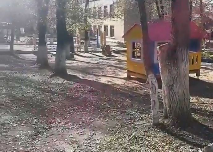 "Страшно за малышей". Житель Артема рассказал о змее на детской площадке