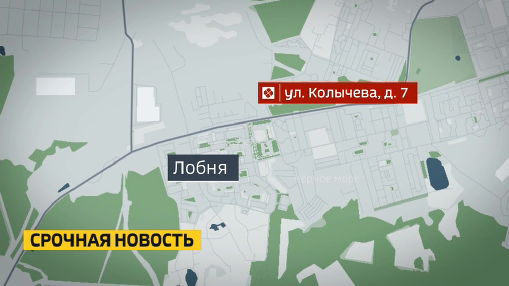 Подросток погиб при взрыве мины времен ВОВ на севере Подмосковья