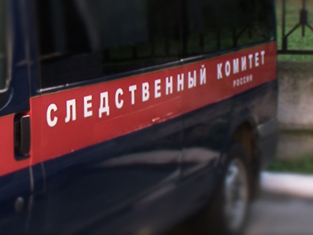 На Дону на родителей завели дело за издевательства над малолетними детьми