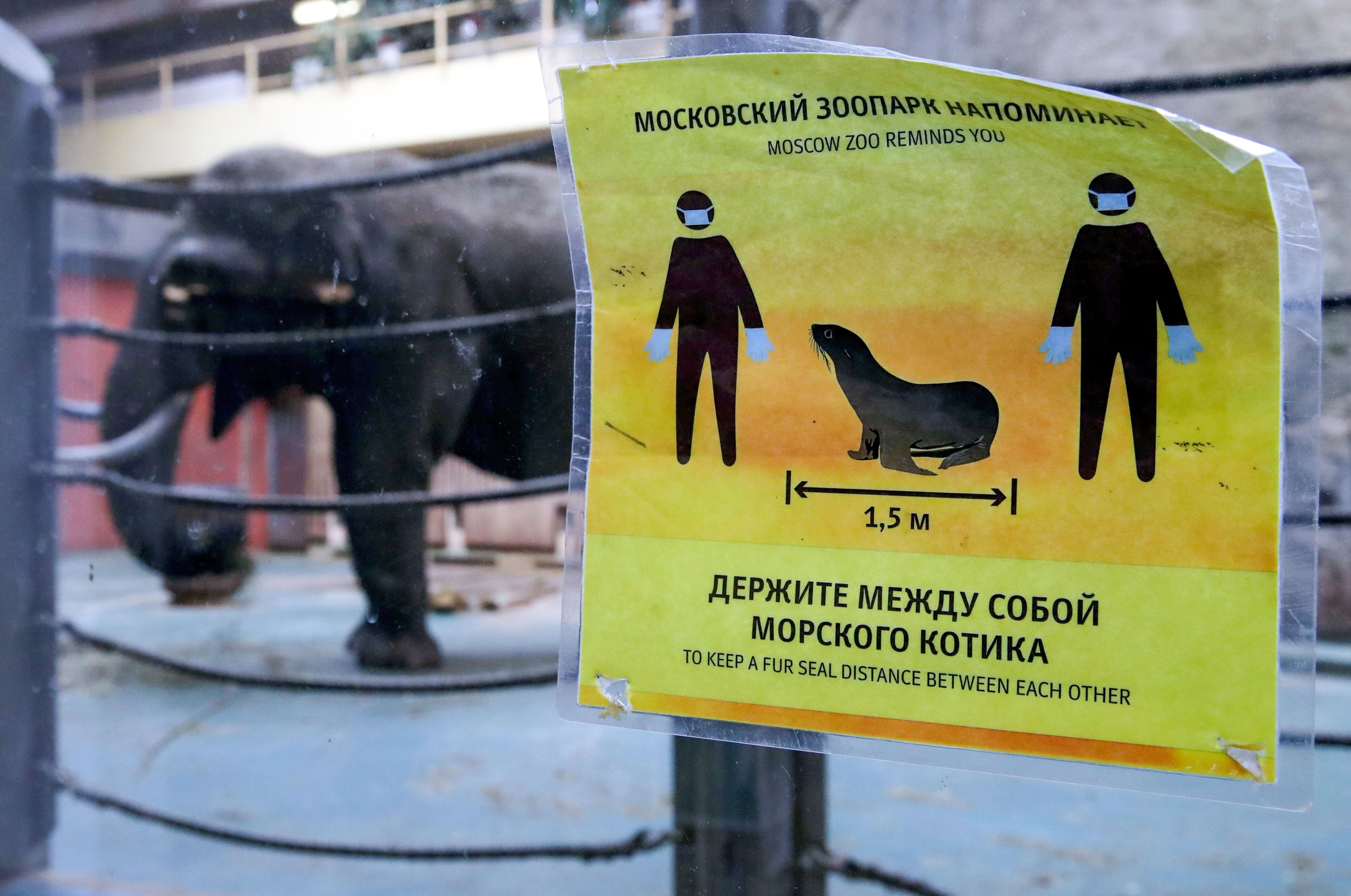 Мэр Москвы: после стремительного взлета кривая заболеваемости коронавирусом в столице замерла