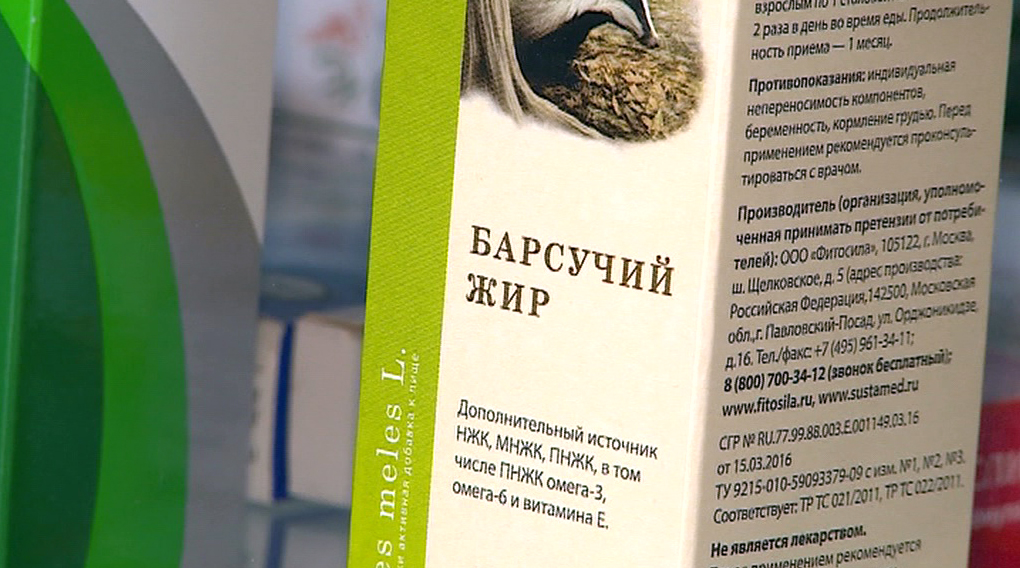 Барсучий жир как лекарство от COVID: стоит ли рисковать