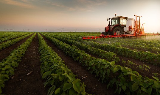 Экспорт сельхозпродукции Ставрополья с начала года составил 10 млн долларов
