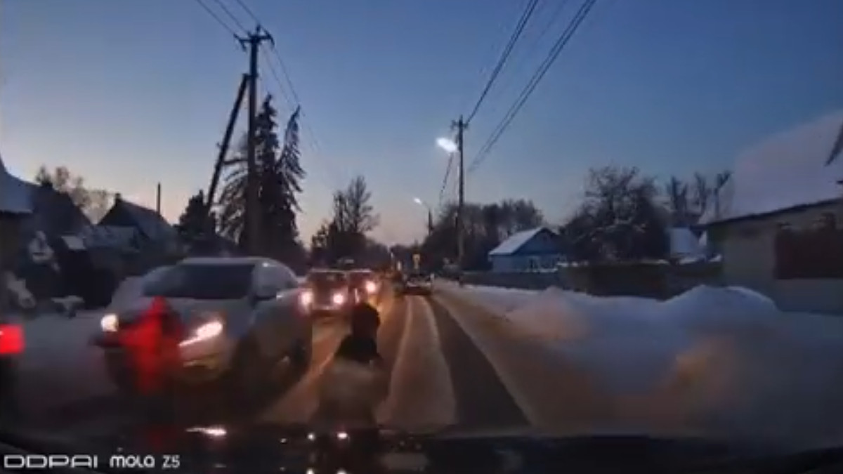 Выбежавший на дорогу ребенок в Брянске попал под машину