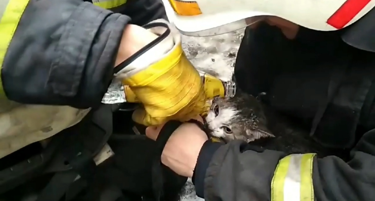 Из вспыхнувшего общежития спасли девять человек и кошку. Видео