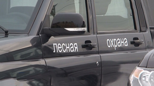 Егерей и лесников объединили в Нижегородской области