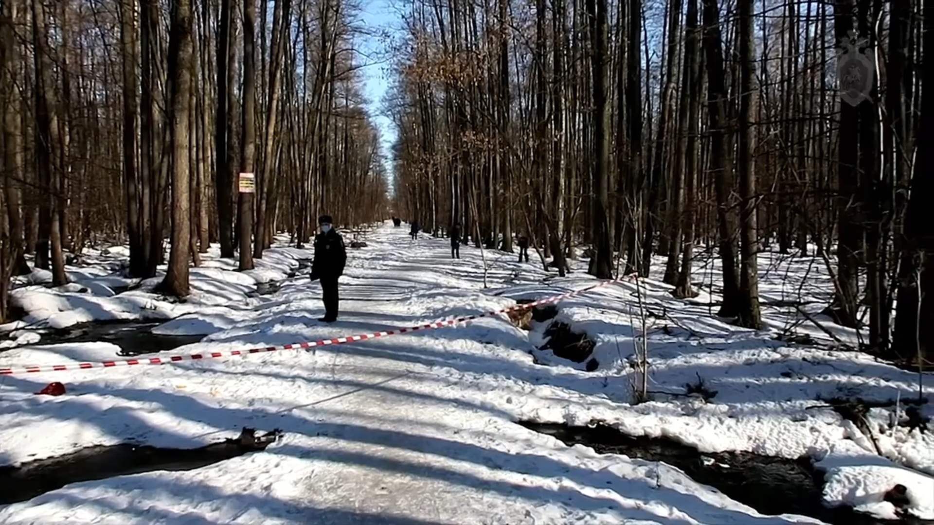 Сожженное тело младенца с проломленной головой нашли в Брянске