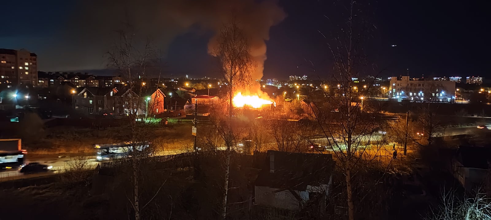 В Твери в доме зоозащитницы заживо сгорели пять кошек