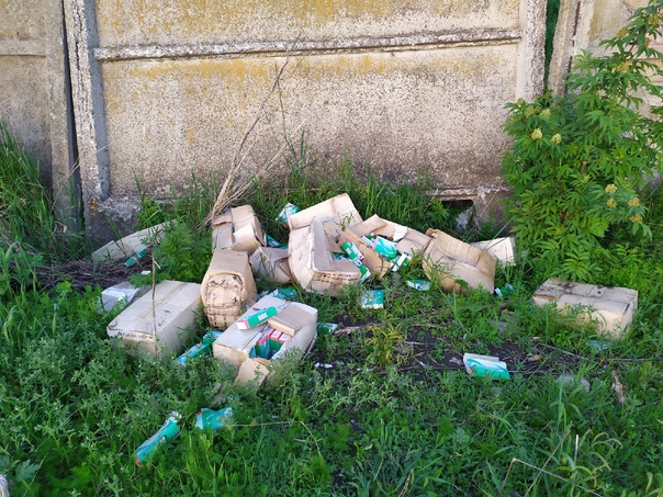 Под Воронежем нашли свалку из неиспользованных вакцин от туберкулеза