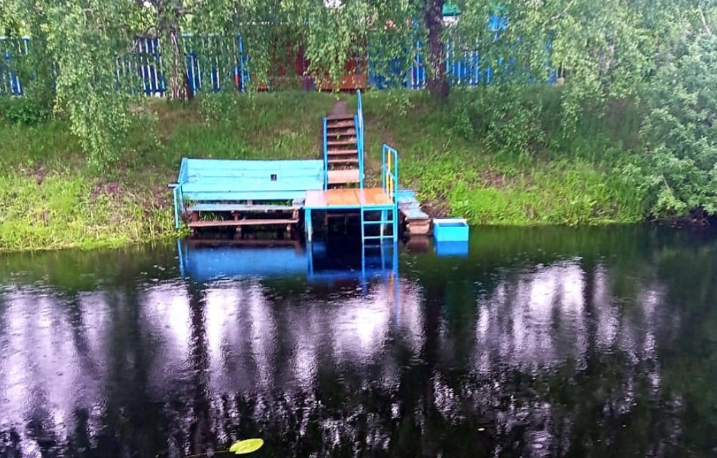 Игравший с собакой двухлетний ребенок остался без присмотра и утонул